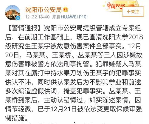 沈阳学生爆料案件最新,校园疑云揭开真相一角