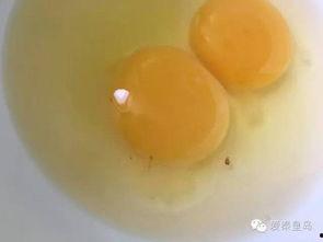 网友爆料鸡蛋视频大全,鸡蛋视频大全,揭秘烹饪技巧与美食诱惑 第2张 网友爆料鸡蛋视频大全,鸡蛋视频大全,揭秘烹饪技巧与美食诱惑 第2张